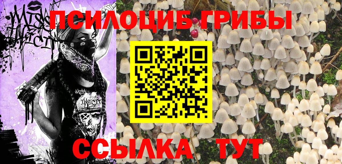 Галлюциногенные грибы Psilocybine cubensis  Вход с VPN  Чехов  Псилоцибиновые грибы MAGIC MUSHROOMS 